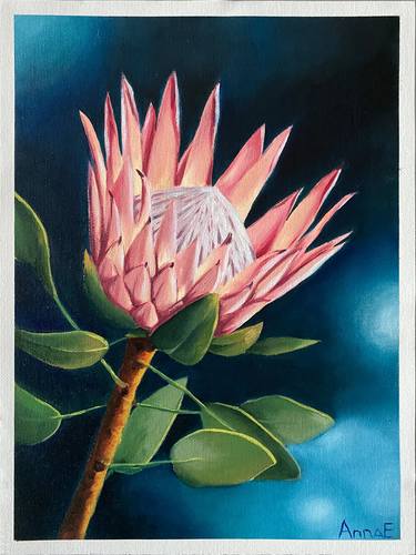 Protea thumb