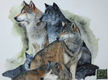 Original Illustration Animal Paintings by Cécile Lefebvre