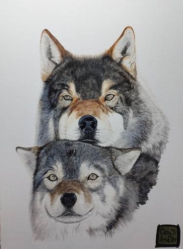 Couple de loups thumb