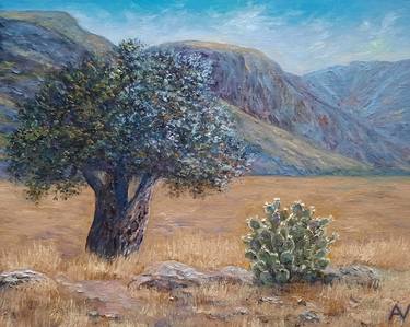 Amazing Greece-Mediterranean landscape with an olive tree thumb