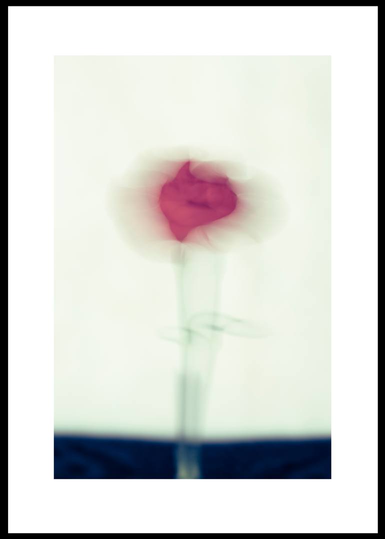 Original Still Life Photography by Andrea Bencelova | Contemporary Art on Paper | White, dark green and pink burgundy