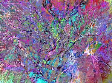 Print of Abstract Tree Photography by Richard Dawson