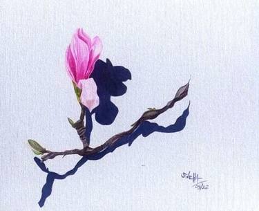 Mangolia Flower :  A Bloom in Shadow thumb