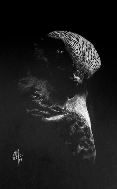 On black paper I. Periparus ater. Drawing by Mariano Luque Romero