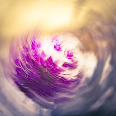 Print of Abstract Expressionism Floral Photography by Michaela Richardson