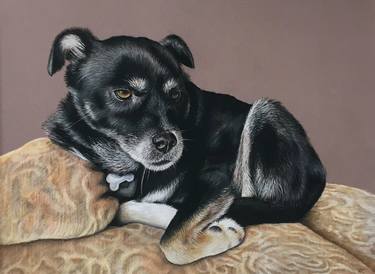 Original Realism Animal Drawings by Heather Clarke