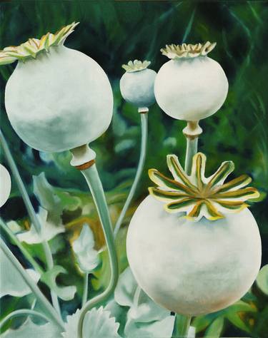 Original Photorealism Nature Paintings by James Knowles