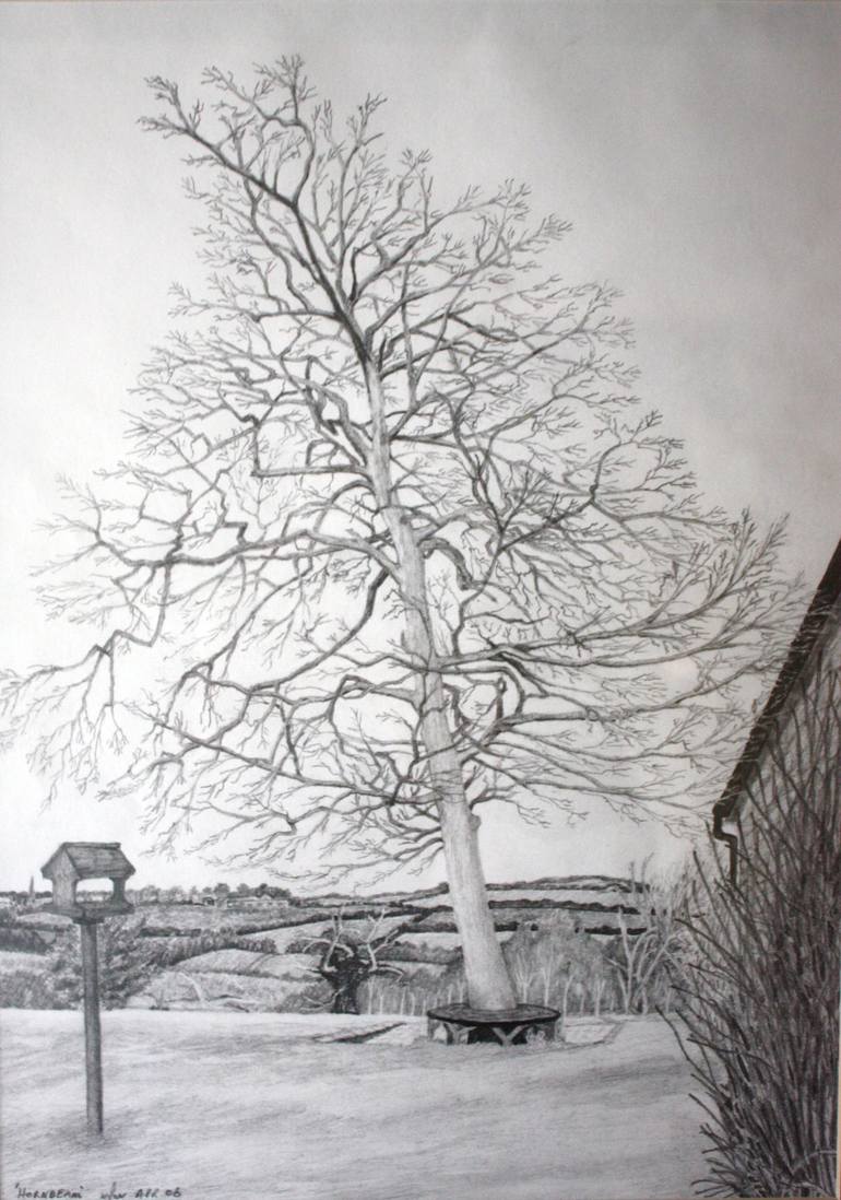 Hornbeam Drawing by Maurice Wilson | Saatchi Art