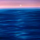 Ocean Moonlight by Laura Blue  Palmer