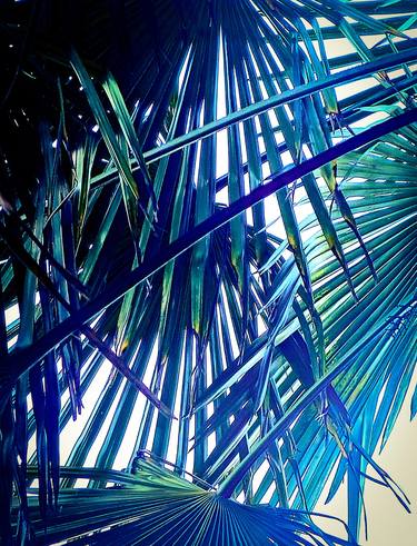 Palm Frond Composition in Blue thumb