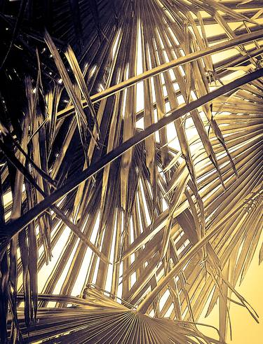 Beach Series: Palm Frond Composition in Sepia thumb