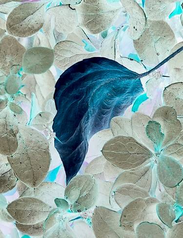 Original Pop Art Botanic Photography by Ellen Liguori