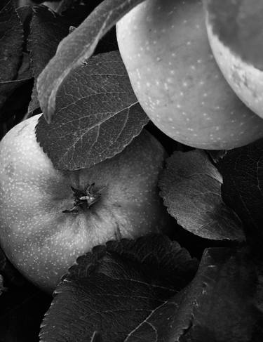 Black & White Series: How do You Like Them Apples thumb
