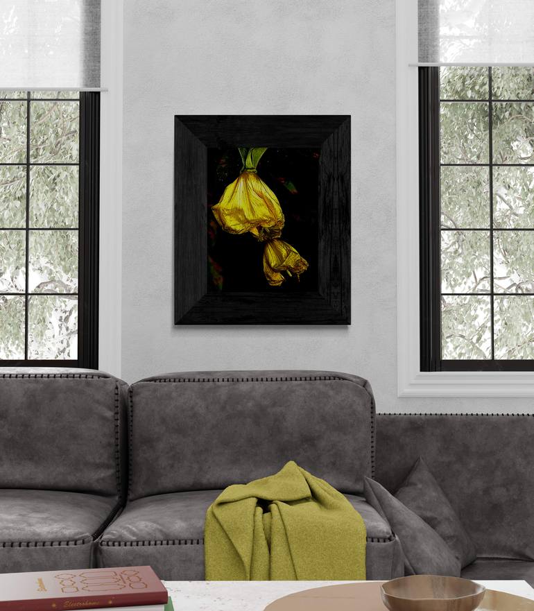 Original Abstract Nature Photography by Ellen Liguori