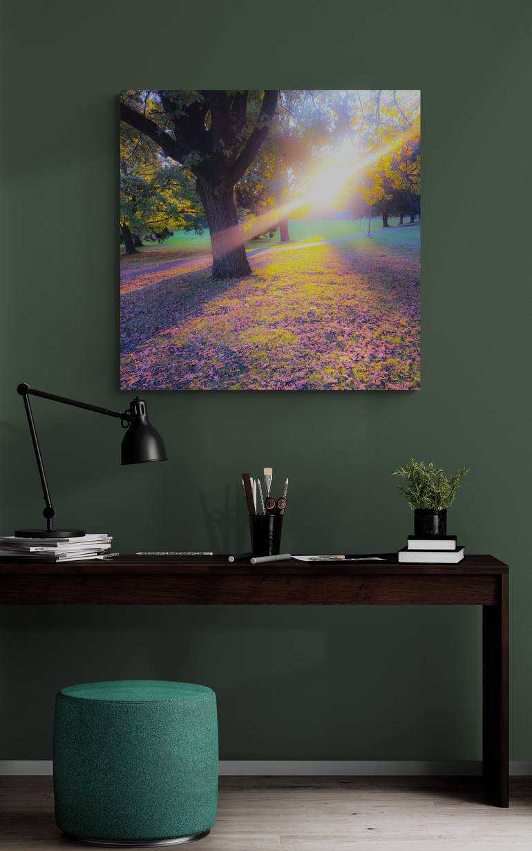 Original Modernism Landscape Photography by Ellen Liguori