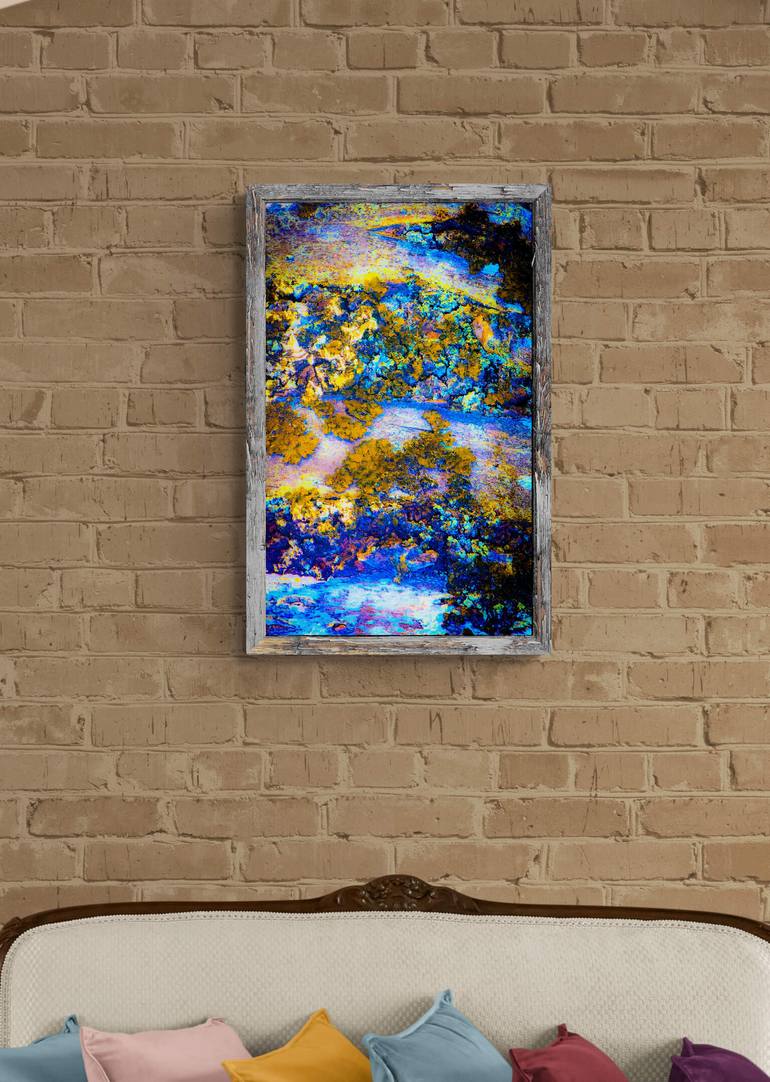 Original Modernism Nature Photography by Ellen Liguori