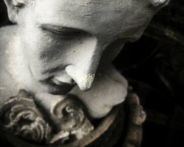 Garden & Statuary Series: Detail of I Do Not Share its Fate thumb