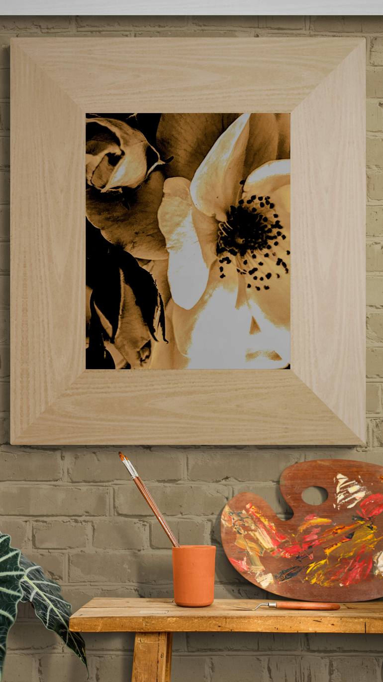 Original Other Floral Photography by Ellen Liguori