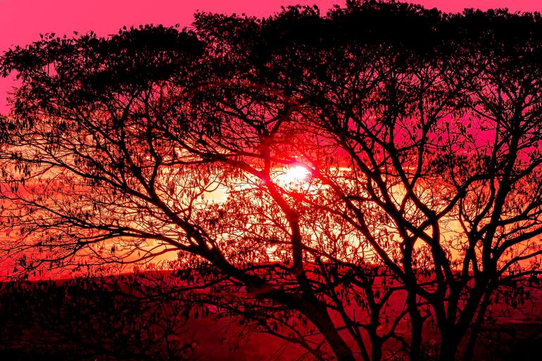 Original Nature Photography by Sergio Luiz Cerezer Benetti | Abstract Expressionism Art on Canvas | We Have the Sunset