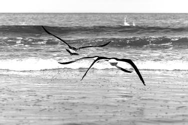Original Conceptual Beach Photography by Sergio Luiz Cerezer Benetti