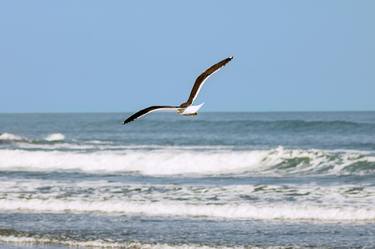 Original Beach Photography by Sergio Luiz Cerezer Benetti