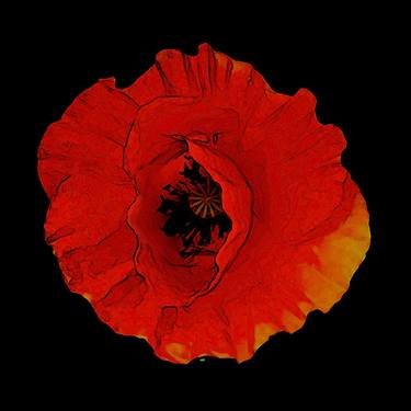 Original Abstract Expressionism Floral Photography by Sergio Luiz Cerezer Benetti