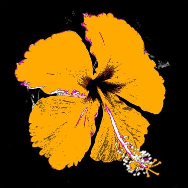 Original Abstract Expressionism Floral Digital by Sergio Luiz Cerezer Benetti