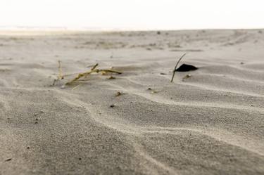 Original Abstract Expressionism Beach Photography by Sergio Luiz Cerezer Benetti