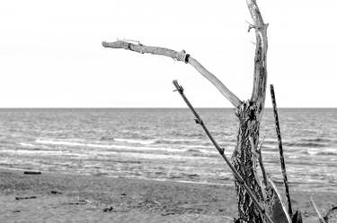 Print of Conceptual Beach Photography by Sergio Luiz Cerezer Benetti