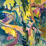 Collection Landscape