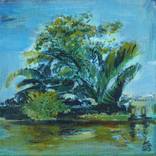 Collection Small paintings