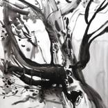 Collection Ink Paintings