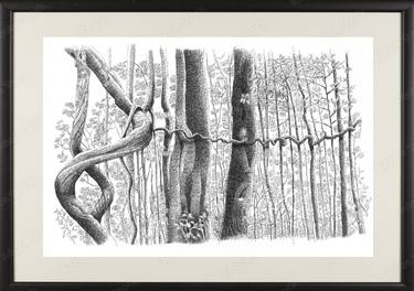 Print of Realism Nature Paintings by Tharindu Sampath