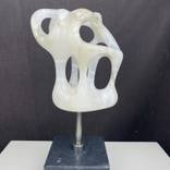Organic Form II by Mark Bowman