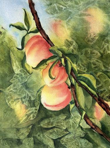 Original Botanic Paintings by Sherryl Perez