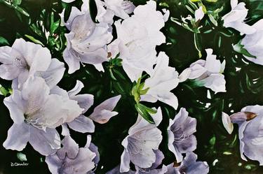 Original Realism Floral Paintings by Debbie Petersen