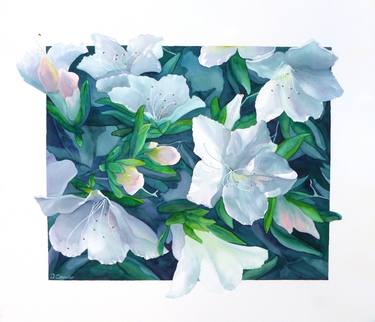 Print of Fine Art Floral Paintings by Debbie Petersen