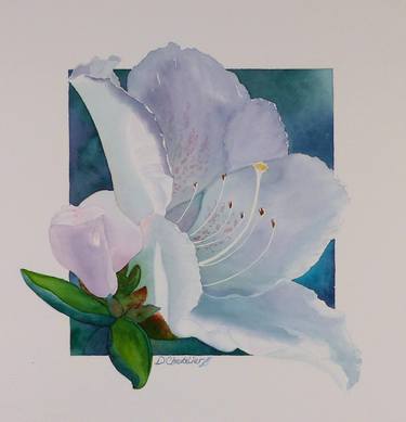 Original Fine Art Floral Paintings by Debbie Petersen