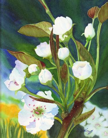 Original Floral Paintings by Debbie Petersen