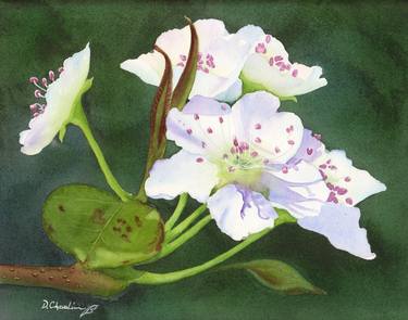 Original Fine Art Floral Paintings by Debbie Petersen