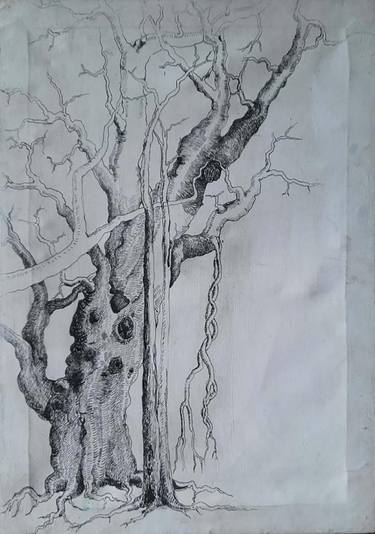 Original Realism Tree Paintings by Sampath Koralage