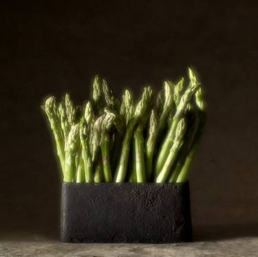Asparagus #2-Soft thumb