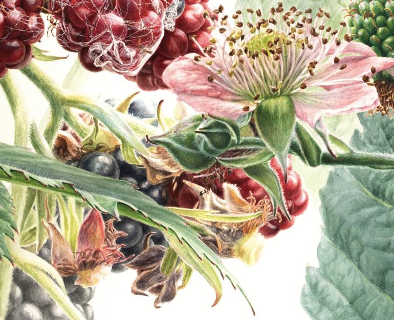 Original Realism Botanic Painting by Lida Duchnewitsch
