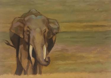 Original Animal Paintings by Sachith De Silva