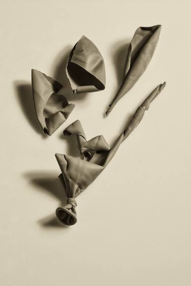 Print of Still Life Photography by mario cucchi