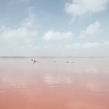 Pink Salt Lake, Spain by FAVRE LUDWIG