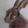 I love hares, I love their speed and dash, they have the most wonderful huge feet