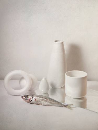 Original Conceptual Still Life Photography by Stefania Piccioni