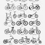 Types of bikes. Vintage illustration. Bicycle Printmaking by Suricoma ...
