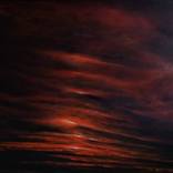 LIGHTS OF LIFE by Cecilia Flaten